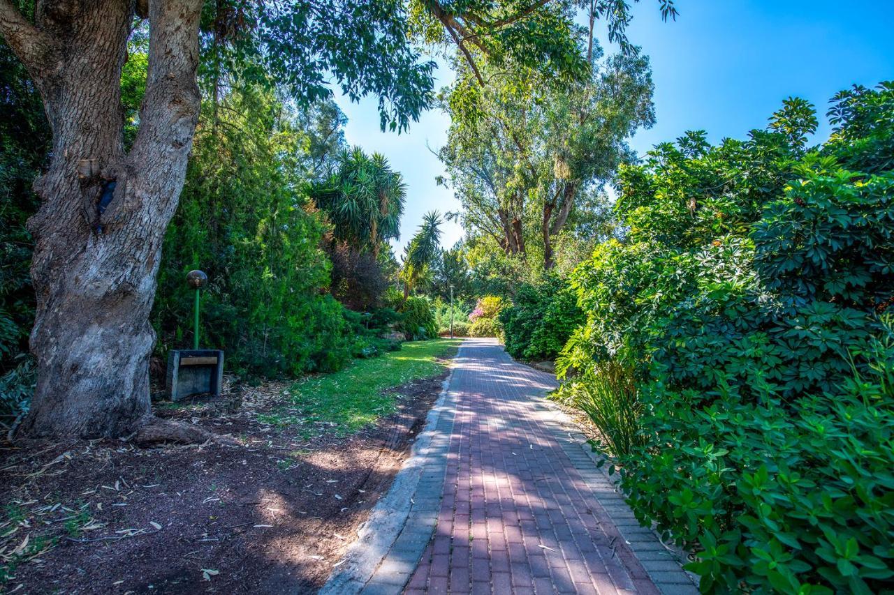 כפר הנופש קיבוץ גדות Kibbutz Gadot Galilean Resort Bagian luar foto