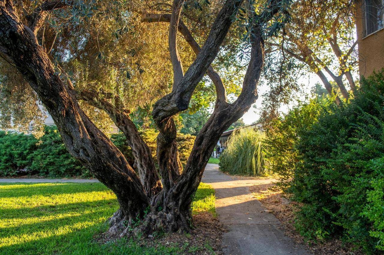 כפר הנופש קיבוץ גדות Kibbutz Gadot Galilean Resort Bagian luar foto